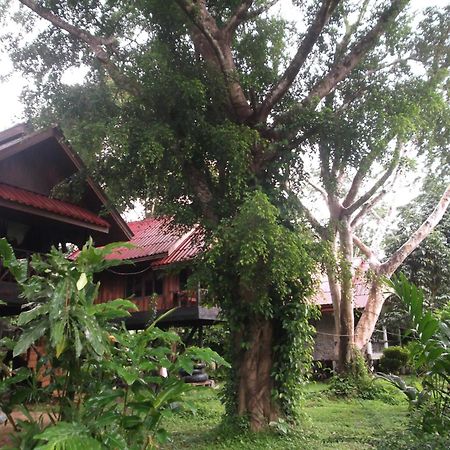 Bamboo House Hotel Khao Sok National Park Buitenkant foto