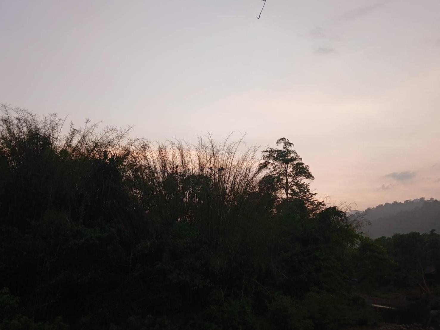 Bamboo House Hotel Khao Sok National Park Buitenkant foto