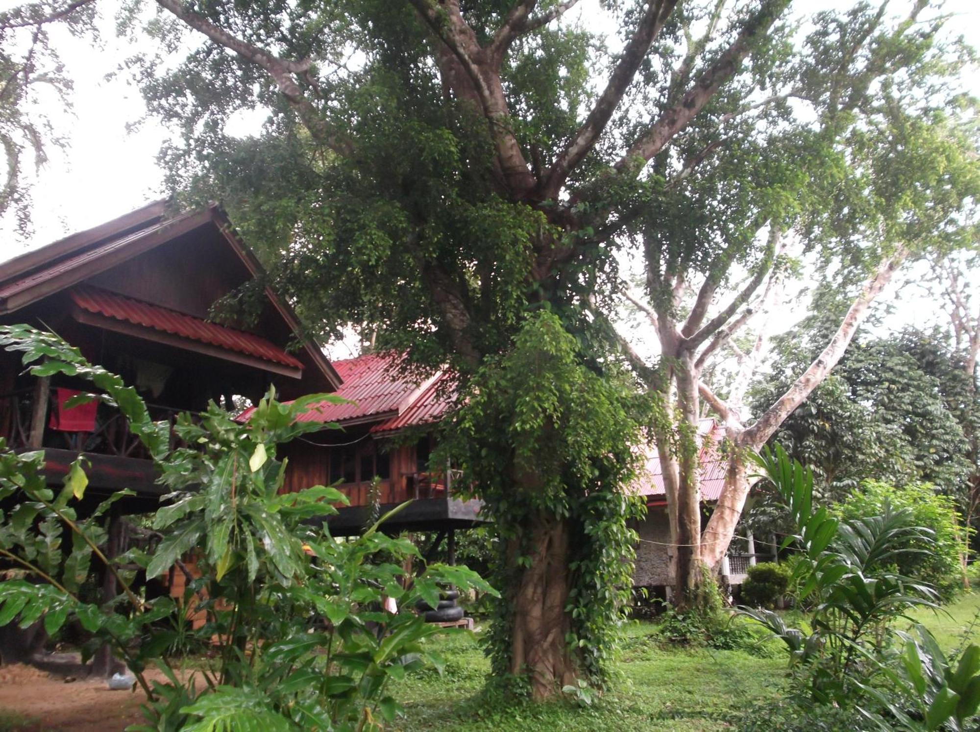 Bamboo House Hotel Khao Sok National Park Buitenkant foto